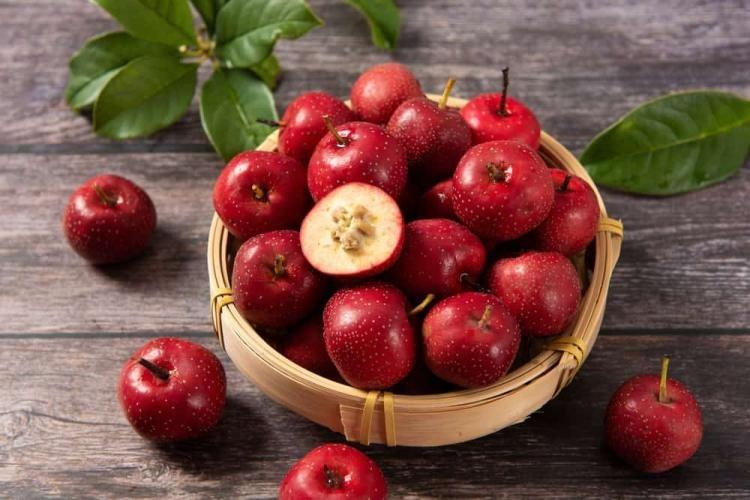 Táo gai là gì và công dụng ra sao trong việc thanh lọc cơ thể