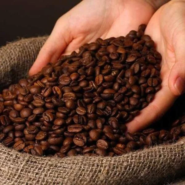 Khám Phá Những Điều Bạn Chưa Biết Về Cà Phê Robusta