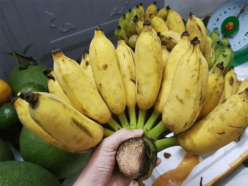 Chuối Xiêm làm thế nào để chế biến món ăn ngon nhất