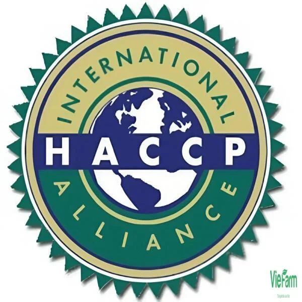 Khám Phá HACCP: Hệ Thống Quản Lý An Toàn Thực Phẩm Hiệu Quả
