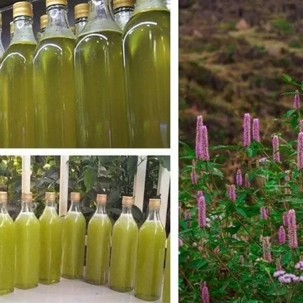 Top 8 các loại mật ong rừng phổ biến hiện nay