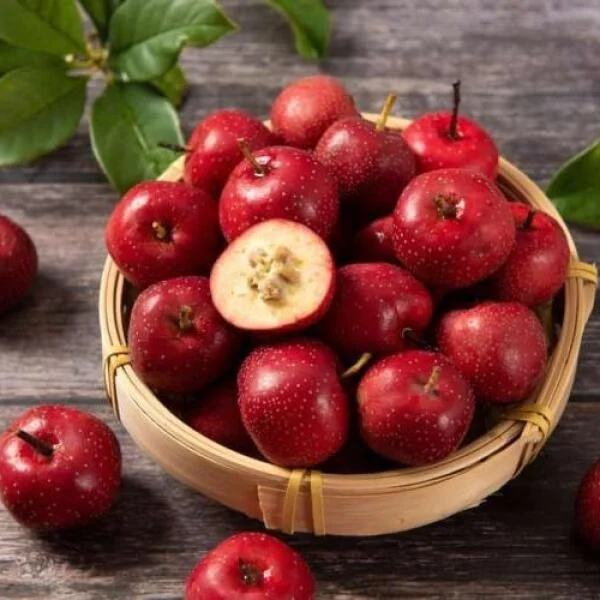 Bí Quyết Lựa Chọn Táo Gai Tươi Ngon