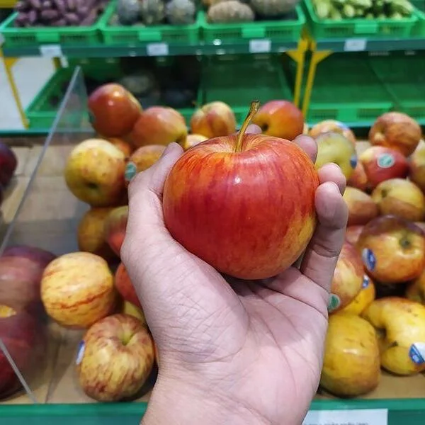Táo giòn mang lại những lợi ích gì cho sức khỏe khi sử dụng mỗi ngày
