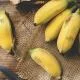 top-cac-loai-chuoi-pho-bien-tai-viet-nam-hien-nay-1