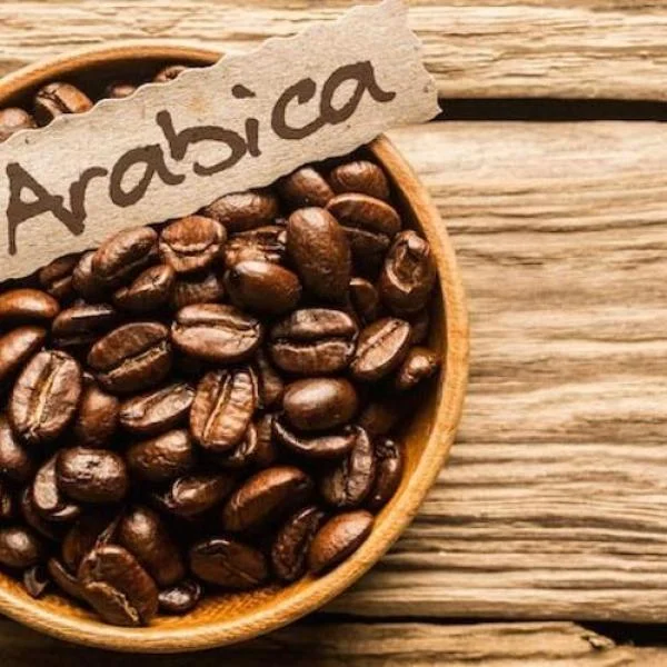 Tìm Hiểu Về Cà Phê Arabica