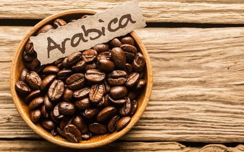 tim-hieu-ve-ca-phe-arabica-1