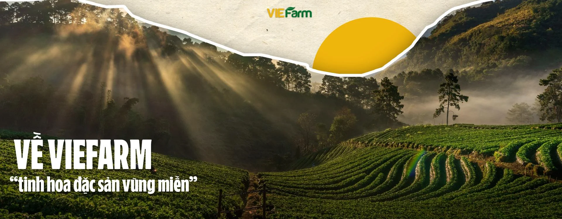 banner-slide-viefarm-6