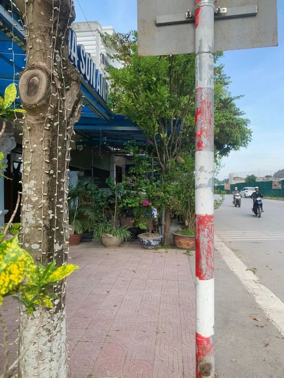 Thay trà uống hằng ngày luôn ạ,vị nhẹ,thanh,uống cảm giác tĩnh,hi vọng giảm cân ok nữa là quá chuẩn