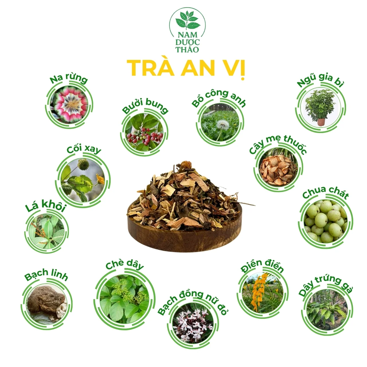 tra-an-vi-4