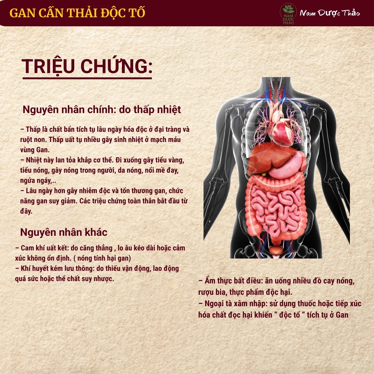 tra-thanh-can-9